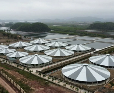 Quang Ninh centra sus esfuerzos en resolver los cuellos de botella en la acuicultura para facilitar las exportaciones